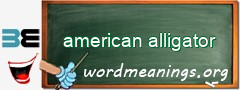 WordMeaning blackboard for american alligator